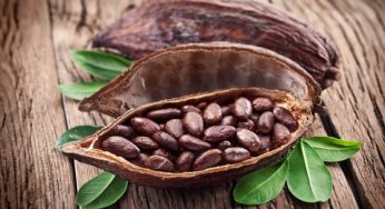 Ученые назвали продукт, который является самым полезным для сердца