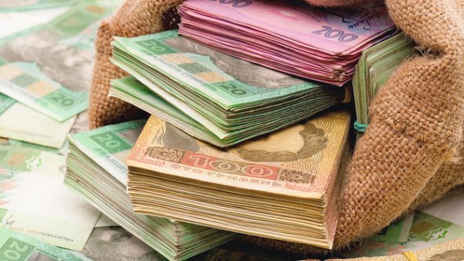 Money bag with hryvna