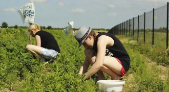Стало известно, сколько украинцев платят налоги в Польше