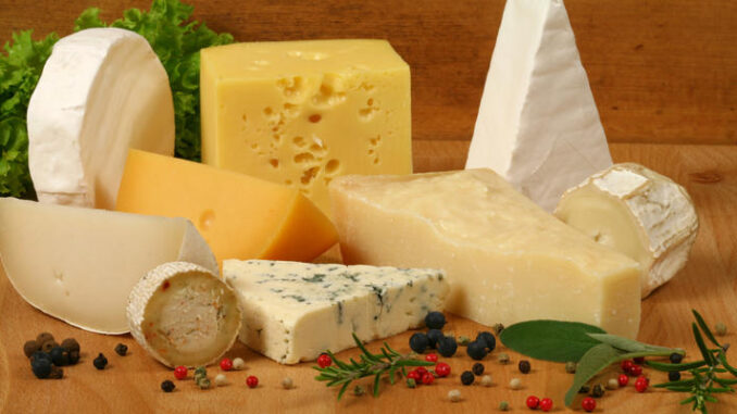 Cheese