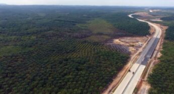 Индонезия выбрала красивое название для новой столицы — Нусантара