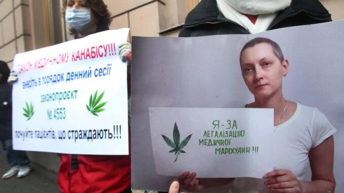 Легализация медицинского каннабиса: в Раде зарегистрировали новый законопроект