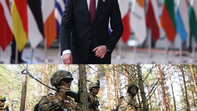НАТО увеличит свое присутствие в странах Балтии из-за угроз со стороны РФ и Беларуси