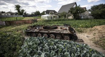 Використання компосту на дачі: як зробити натуральне добриво своїми руками