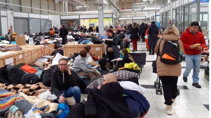 Стало известно, сколько украинцев получили разрешение на проживание в Польше