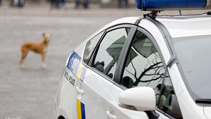 500 гривень штрафу та рік без прав: українців почали жорстко карати за невинне порушення