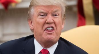 Вибори у США: Гарріс випереджає Трампа 