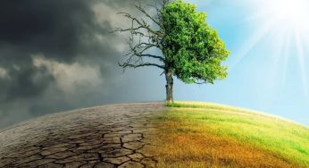 Глобальне потепління може завдати 40% шкоди світовій економіці — дослідження