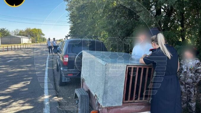 Росіянка посадила дітей у клітку для собак: причина всіх шокувала