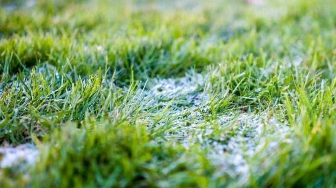 Перші морози та ожеледь: якою буде погода у жовтні в Україні
