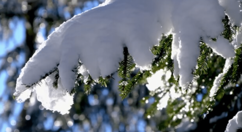 Синоптики попереджають: яку погоду принесе грудень українцям