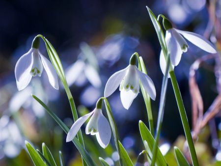 На Україну насувається потужний антициклон: які області зачепить найбільше