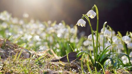 Що зірки нам пророкують: гороскоп на березень 2024 року