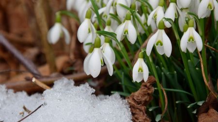 Скоро весна: прогноз погоди на вихідні 10–11 лютого