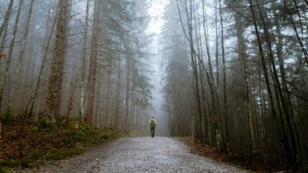На Черкащині врятували чоловіка, який заблукав у лісі: харчувався травою та корінням