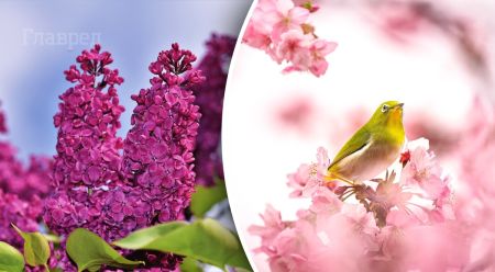 Припече до +27°C: вже в березні Україну накриє аномальне потепління