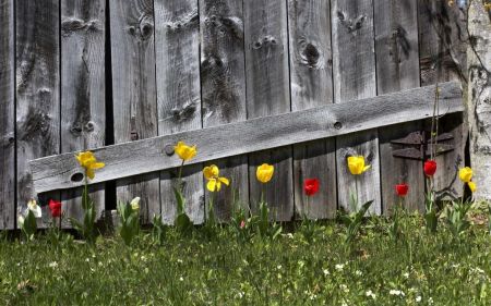 Коли до України прийде стабільне потепління: прогноз синоптикині