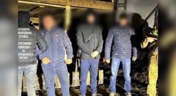 $10 тисяч за “подорож”: чоловіки намагалися втекти з України в причепі для тварин