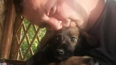 Британець допомагає безпритульним тваринам в Україні британець