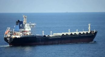 Туреччина не пропускає судна РФ зі зброєю та краденим зерном через Босфор