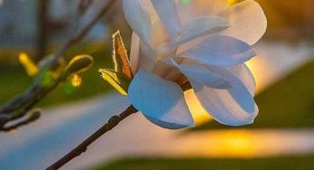 Синоптики розповіли, коли до України прийде тепло