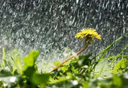 В Україні розпочався тиждень дощів: прогноз погоди з 18 по 24 березня