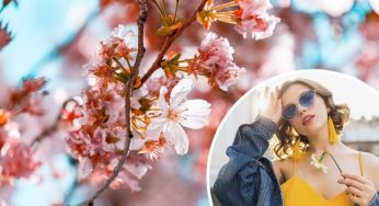 В Україну несеться літнє тепло: де буде +25 градусів та коли