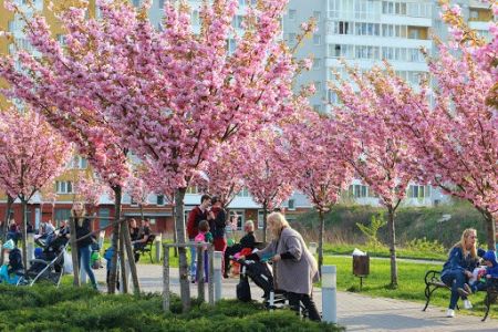 Погода несе божевільну спеку: прогноз на найближчі дні