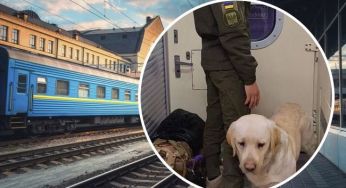 Військового зі службовим собакою не пустили в салон потяга: подробиці скандалу