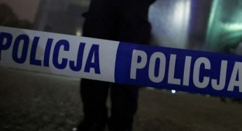 Масово підробляла документи за шалені гроші: в Польщі затримали українку