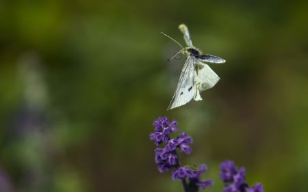 Коли до України знову повернеться тепло: відповідь метеоролога