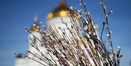 28 квітня 2024 року: Вербна неділя — що сьогодні не можна робити