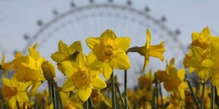 Стає дедалі спекотніше, повітря прогріється до +26: погода на сьогодні