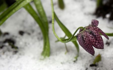 В Україні стане прохолодно, температура опуститься до мінусової: погода 5 квітня