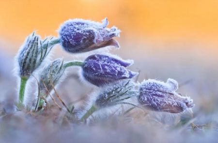 Україну скують заморозки: синоптик попередила про потужну негоду