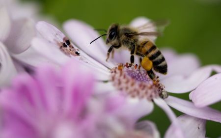 Місцями з дощами, проте дуже тепло: прогноз погоди на 29 квітня