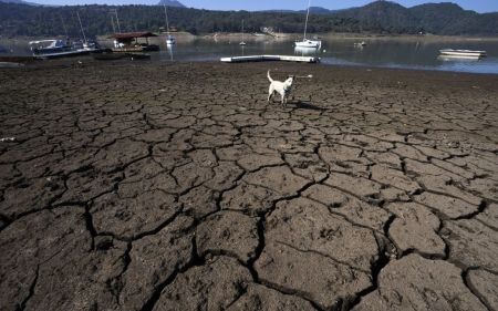 Землі загрожує мегапосуха тривалістю понад 20 років: про що попереджають вчені