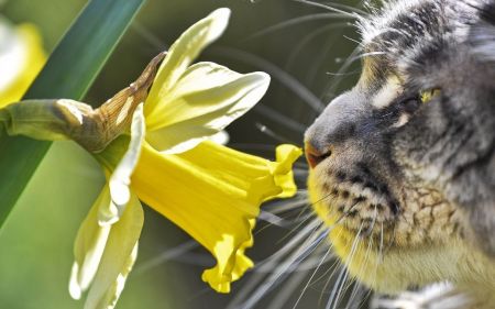 В Україні потеплішає, але будуть дощі та грози: прогноз погоди на 6 квітня