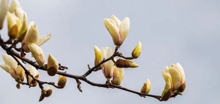 В Україні потепліє до +26: синоптики назвали дату