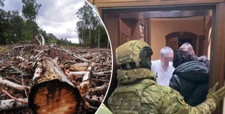Напиляли на мільярд: скандал з рубкою дерев у Чорнобильській зоні набирає оберти, причетні високі посадовці
