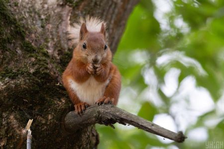 Температура в Україні впаде до +12°: синоптик розказала, коли похолоднішає