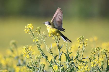 Перед вихідними в Україні стане трохи тепліше: прогноз на 10 травня