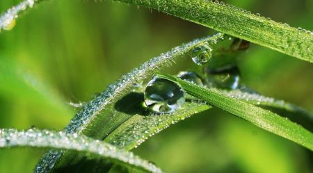 Дощі, грози та пориви вітру: якими будуть останні травневі вихідні в Україні