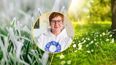 Весна пішла на вихідний: частину України підморозить найближчими днями