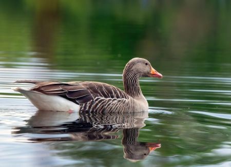 До України йде похолодання: синоптик назвав точну дату