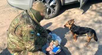 Робив вигляд, що вигулював собаку: у Харкові затримали агента РФ, який стежив за ЗСУ