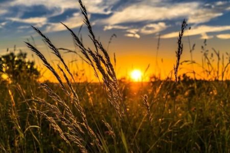 Погода на 3 травня: в країні буде сухо, подекуди до +26°