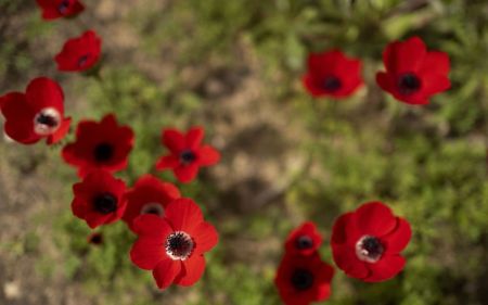 Синоптики оновили прогноз на понеділок: як зміниться погода