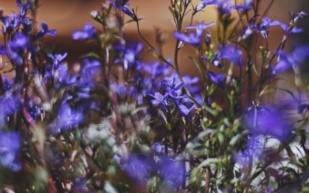 Частину України заллє дощами: прогноз погоди на 27 травня