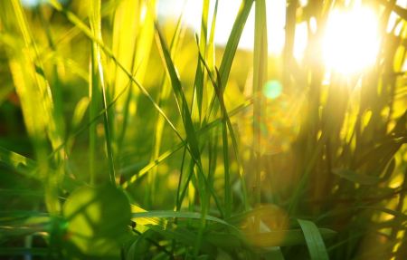 Справжнього тепла не чекати? Прогноз на літо-2024 від народного синоптика